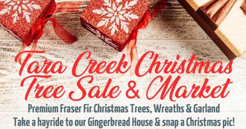 Tara Creek Christmas Tree Sale