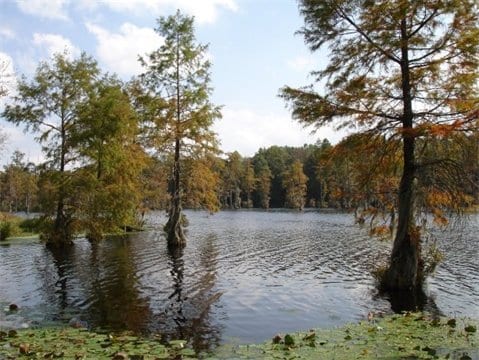 Maxwell Mill Park